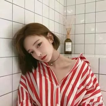 极地爱恋 在线观看
