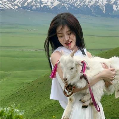 苏比拉 在线观看